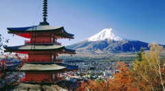 多仕迪日本海运双清专线